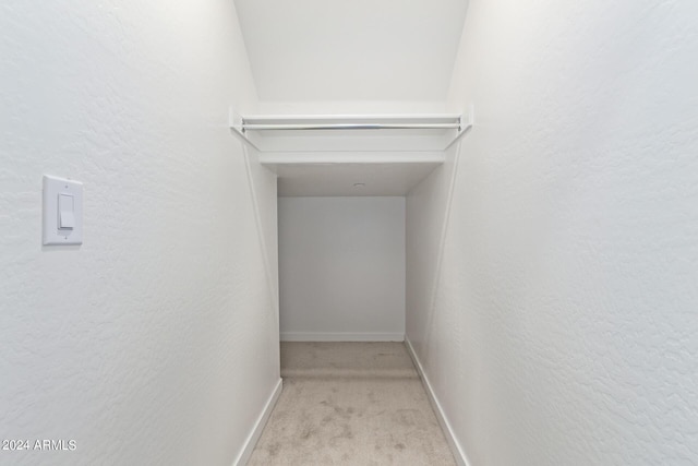 spacious closet with light colored carpet