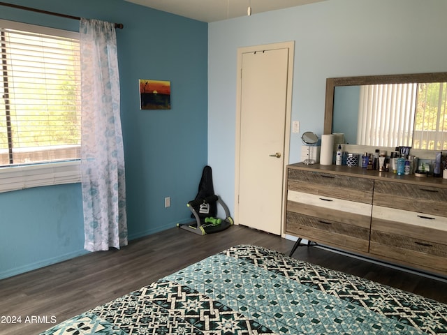 bedroom featuring multiple windows and dark hardwood / wood-style flooring