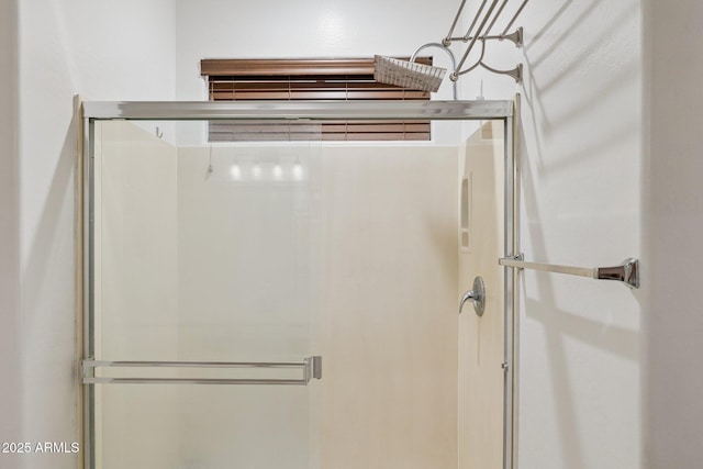 46141 W Rainbow Dr, Maricopa, AZ 85139 - full bath featuring a stall shower