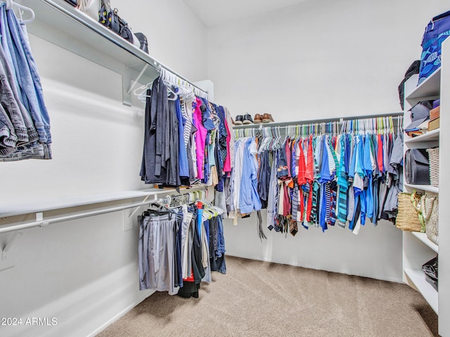 walk in closet with carpet flooring