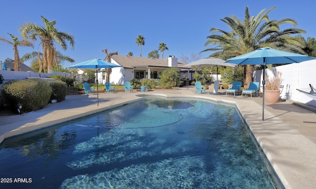 view of swimming pool featuring a patio