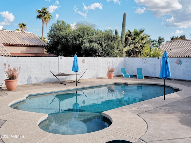 view of pool with a hot tub and a patio