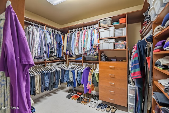 3801 N Goldwater Blvd Unit 201, Scottsdale, AZ 85251 - spacious closet featuring carpet floors