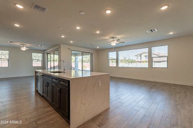 kitchen with ceiling fan, a healthy amount of sunlight, and sink