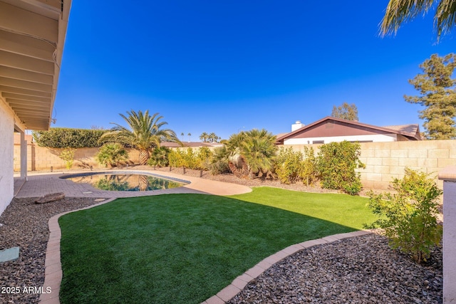 view of yard featuring a patio area