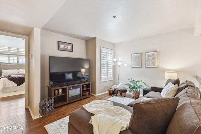 living room featuring dark hardwood / wood-style flooring