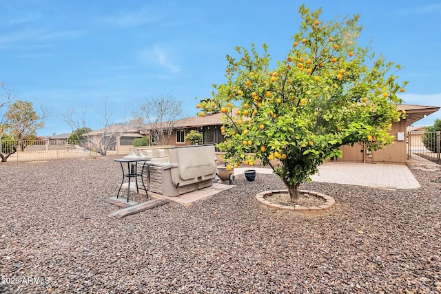 view of yard with a patio and a fenced backyard