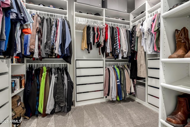 spacious closet featuring carpet