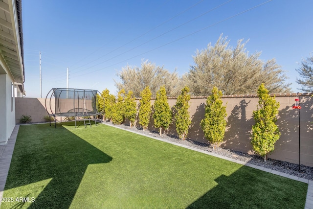 view of yard with a trampoline