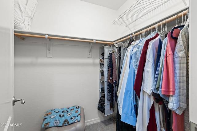 walk in closet with carpet