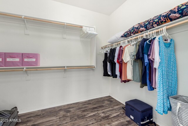 17532 W Copper Ridge Dr, Goodyear, AZ 85338 - walk in closet with wood finished floors