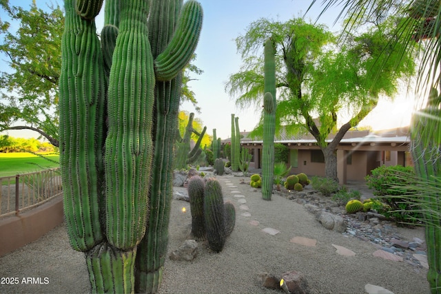 1637 N Quartz Valley Rd, Scottsdale, AZ 85266 - surrounding community