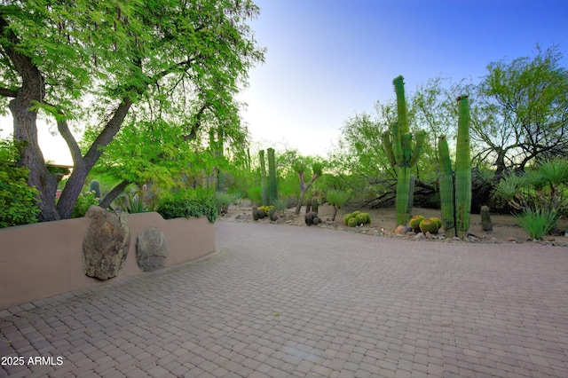 1637 N Quartz Valley Rd, Scottsdale, AZ 85266 - view of property's community with a patio area