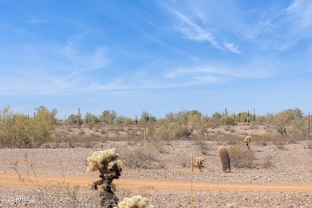 view of nature featuring a rural view