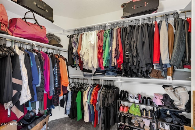 508 W San Angelo St, Gilbert, AZ 85233 - spacious closet with carpet flooring