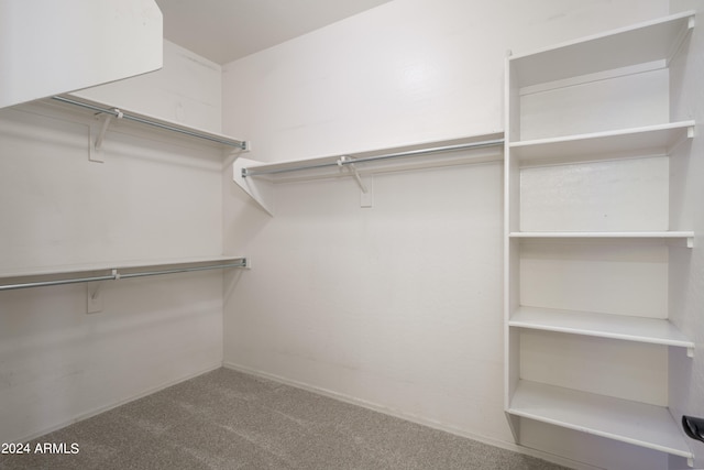 walk in closet with carpet