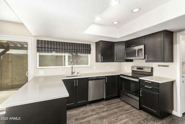 kitchen featuring a raised ceiling, sink, kitchen peninsula, stainless steel appliances, and dark wood-type flooring