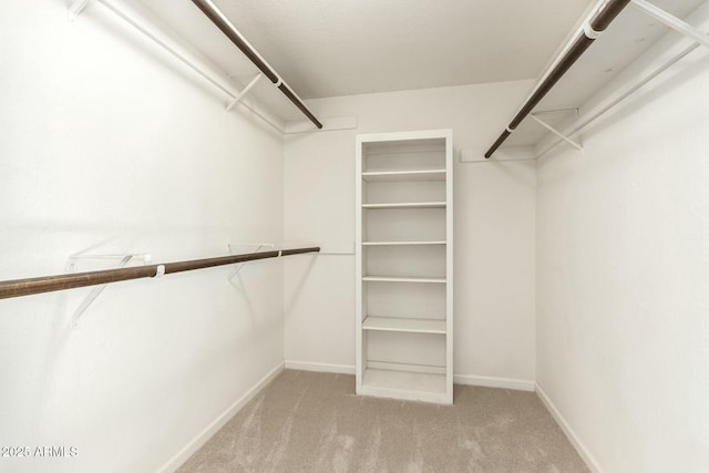 spacious closet featuring carpet floors