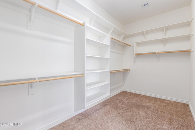 spacious closet with carpet flooring and visible vents