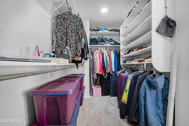 spacious closet with carpet