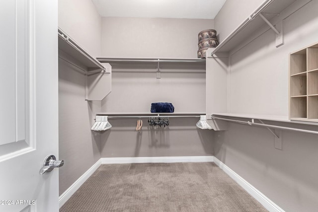 walk in closet with carpet floors