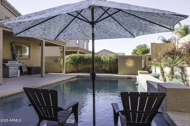 view of swimming pool featuring a patio and grilling area