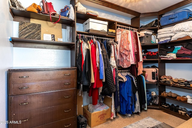 spacious closet featuring light carpet