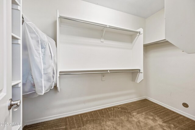 1344 N Claiborne, Mesa, AZ 85205 - spacious closet featuring carpet
