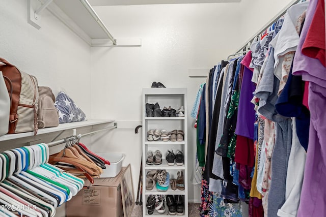 walk in closet featuring carpet floors