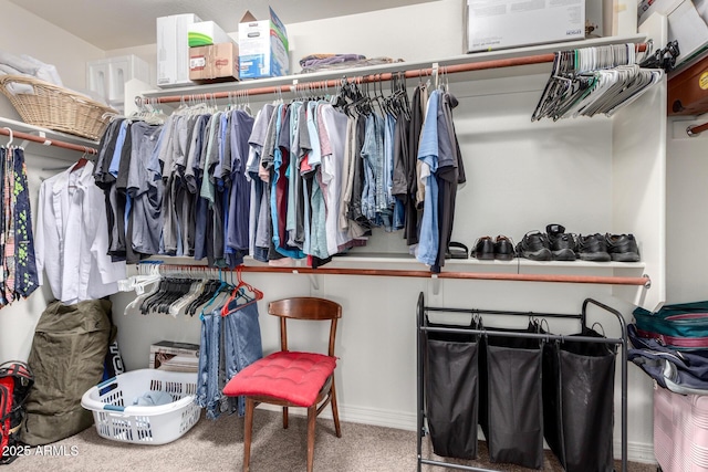 spacious closet featuring carpet