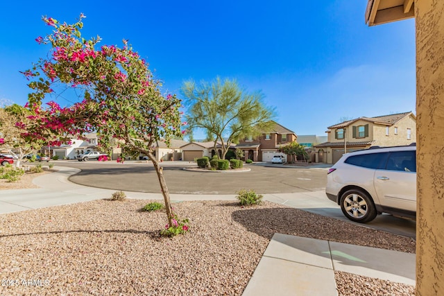 view of yard with a residential view