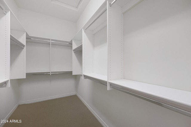 walk in closet with carpet