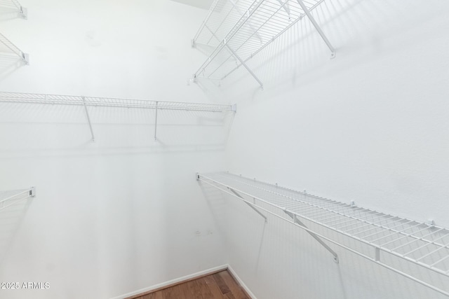 walk in closet featuring wood-type flooring