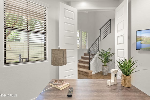 foyer featuring a healthy amount of sunlight and wood-type flooring