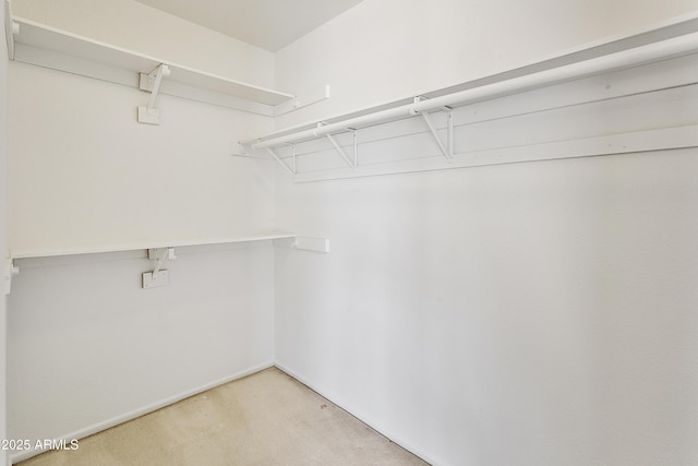 1334 S Glenview Cir, Mesa, AZ 85204 - spacious closet featuring light colored carpet