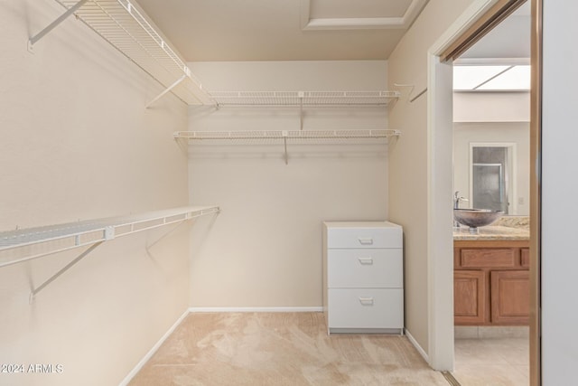 walk in closet with light carpet and a sink