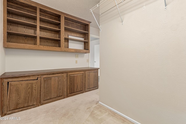 walk in closet with light carpet