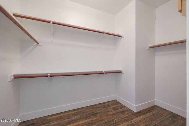 spacious closet featuring dark wood-type flooring