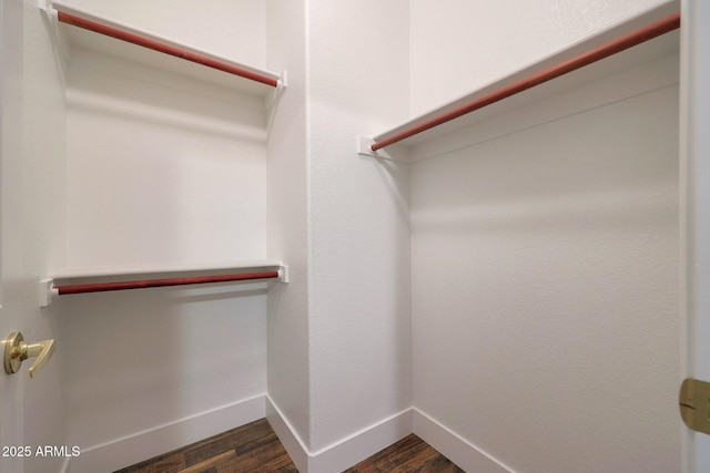 spacious closet featuring dark wood-type flooring