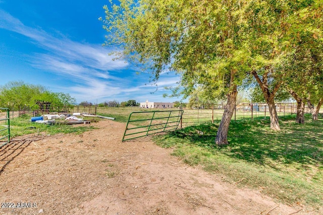 view of yard with a rural view