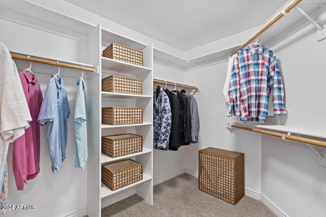 spacious closet with carpet flooring