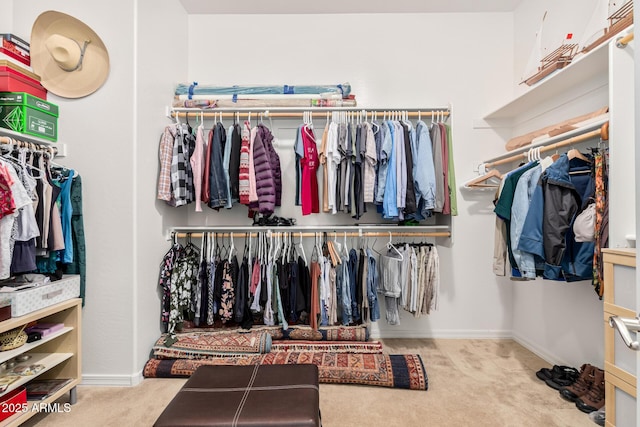 walk in closet with carpet flooring