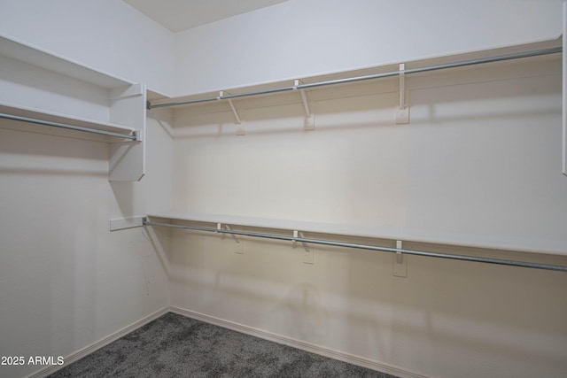 spacious closet with dark colored carpet