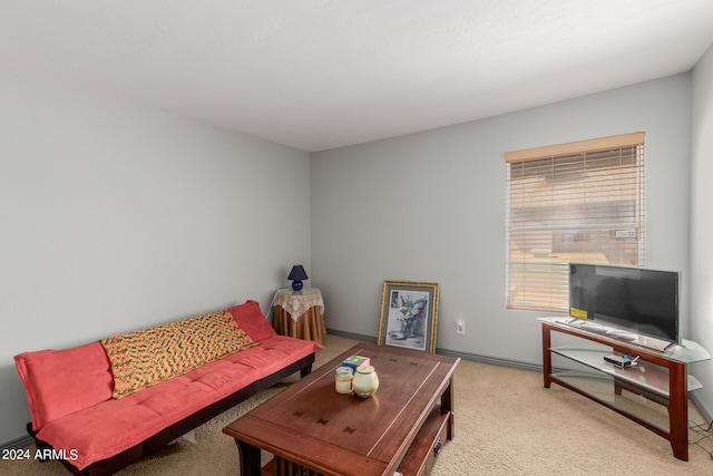 living room featuring carpet floors