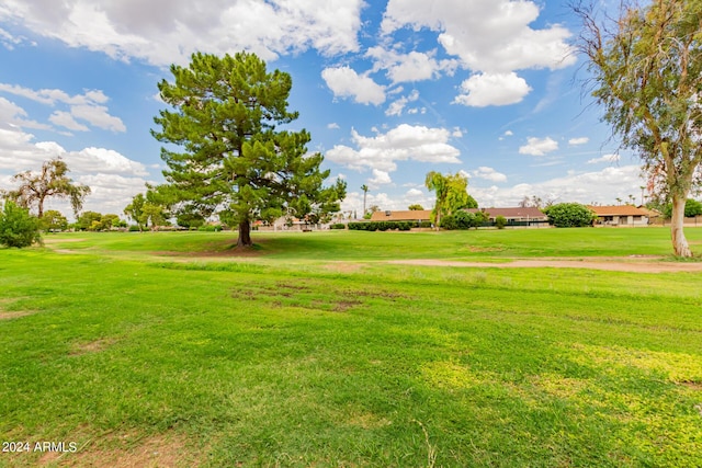 surrounding community featuring a yard