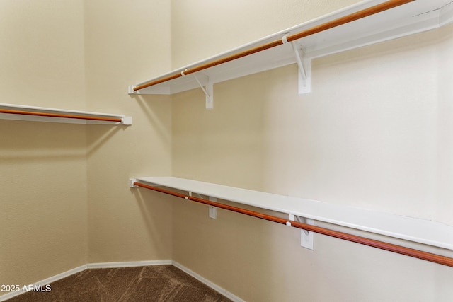 spacious closet featuring dark colored carpet