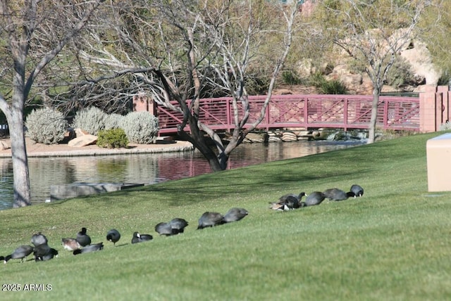 view of yard with a water view