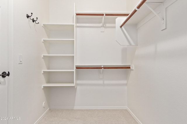 spacious closet featuring light carpet