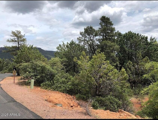 9 Lodgepole Cir Unit 9, Pine, AZ 85544