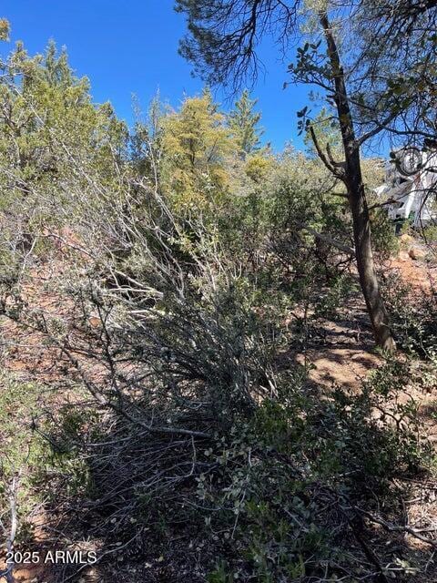 9 Lodgepole Cir Unit 9, Pine, AZ 85544